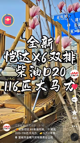 全新愷達(dá)X6柴油雙排，德威D20-116匹大馬力。